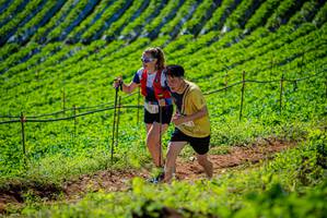 BIB: 1319
                            <button type="button" onclick="openModal(19162224)" class="btn btn-primary btn-sm float-right btn-popup" data-toggle="modal" data-target=".modal-high-quality">
                        <i class="fas fa-shopping-cart"></i> Add to Cart
                    </button>
                                            <button type="button" onclick="isThisMe(19162224, true)" class="btn btn-success btn-sm float-right btn-popup btn-isme hidden" data-toggle="tooltip" data-placement="bottom" title="นี่คือรูปของคุณใช่ไหม คลิกที่นี่เพื่อเอาเข้าอัลบั้ม">
                        <i class="fas fa-plus"></i> Add to album
                    </button>
                    <button type="button" onclick="isThisMe(19162224, false)" class="btn btn-warning btn-sm float-right btn-popup btn-isnotme hidden">
                        <i class="fas fa-ban"></i> Remove from album
                    </button>